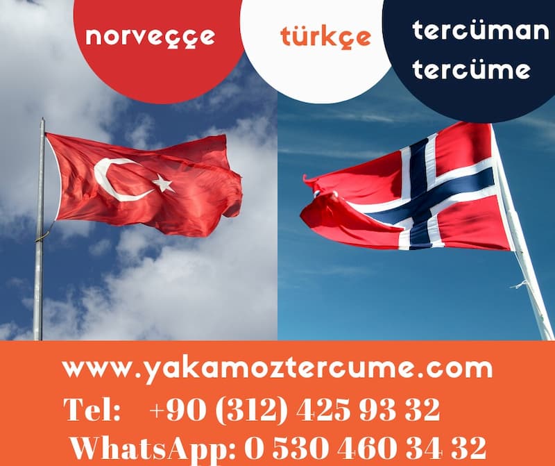 norvecce türkçe çeviri